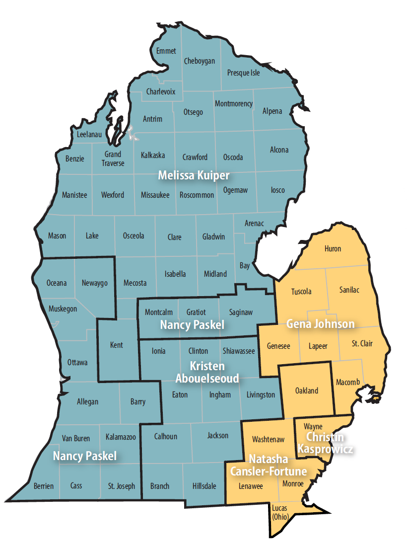 A map of the lower peninsula of Michigan, divided into 2 regions and several sub-regions. Each region lists a provider representative. On the page below you will find the same information in a list of Provider Representatives and the counties in their respective regions.